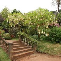 Palheiro Gardens Madeira