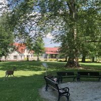 Niemodlin Zamek + Arboretum Lipno - Dolny Śląsk 
