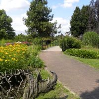 Ogród botaniczny PAN - Powsin - Mazowieckie