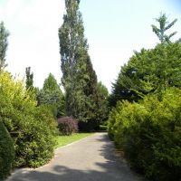 Ogród botaniczny PAN - Powsin - Mazowieckie