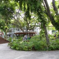 Sultan Park -  Male - Malediwy