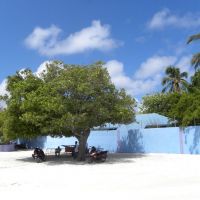 Zieleń Guraidhoo - Malediwy