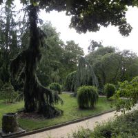 Ogród botaniczny - Poznań