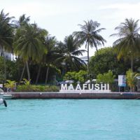 Zieleń Maafushi - Malediwy