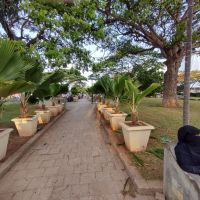 Forodhani Park - Stone Town - Zanzibar