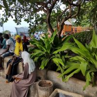 Forodhani Park - Stone Town - Zanzibar