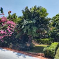 Melia Garden - Zanzibar
