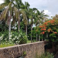 Melia Garden - Zanzibar