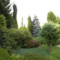Ogród Śląski - Świerklaniec - Śląsk