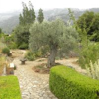Ogród botaniczny - Sóller - Majorka