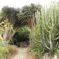 Ogród botaniczny - Sóller - Majorka