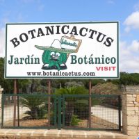 Botanicactus - Majorka