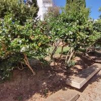Ogród Joana Miro - Palma - Majorka