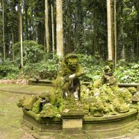 Małpi Las - Sangeh - Bali