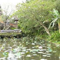 Saraswati Garden - Bali