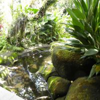Duta Orchid Garden - Denpasar - Bali