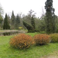 Arboretum w Glinnej - Zachodniopomorskie