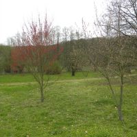 Arboretum w Glinnej - Zachodniopomorskie