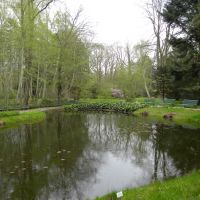 Uniwersyteckie Arboretum - Greifswald - Meklemburgia