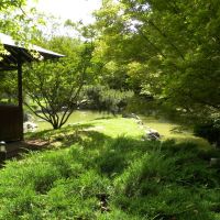 Ogród japoński Baltalimani - Stambuł