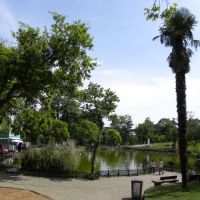 Emirgan park - Stambuł