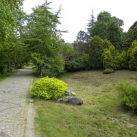 Atatürk Arboretum - Stambuł