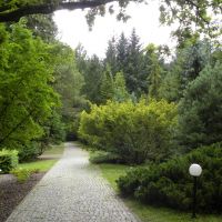 Arboretum Wirty - Pomorskie