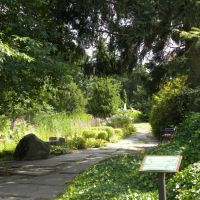 Ogród Botaniczny - Łódź