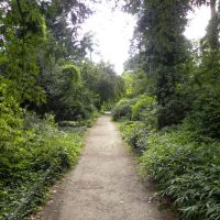 Arboretum SGGW w Rogowie - łódzkie
