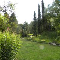 Arboretum SGGW w Rogowie - łódzkie
