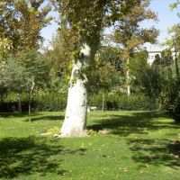 Park Golestan - Teheran