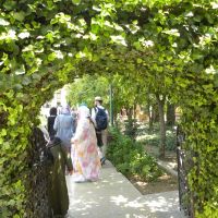 Naranjestan Garden - Shiraz - Iran
