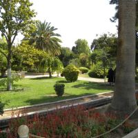 Eram Botanical Garden - Shiraz - Iran