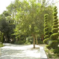 National Garden - Jazd - Iran