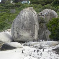 Park Boulders - RPA