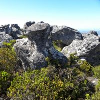 Rezerwat Góry Stołowej - Kapsztad - RPA