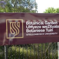 Botanical Garden - Stellenbosch - RPA