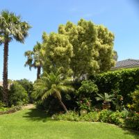 Ogród Grażyny i Leszka - Somerset West - RPA