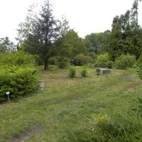 Ogród Botaniczny - Lwów