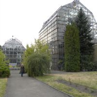 Ogród Botaniczny - Lwów