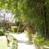Green Mansions Garden - Sauraha - Nepal