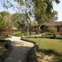 Green Mansions Garden - Sauraha - Nepal