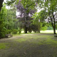 Park Szczytnicki   Ogród Japoński    Wrocław