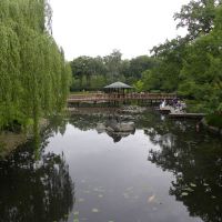 Park Szczytnicki   Ogród Japoński    Wrocław