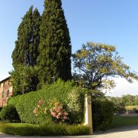 Villa La Massa - Toskania 
