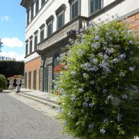 Villa Reale - Toskania