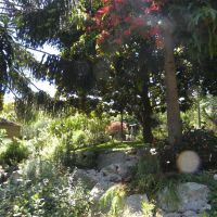 Ogród księżnej Grace 