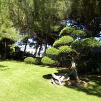 Ogród Japoński - Monaco