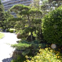 Ogród Japoński - Monaco