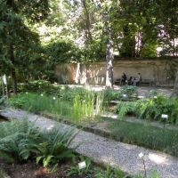 Ogród Botaniczny Brera - Mediolan 